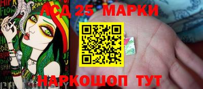 гашик Новокубанск