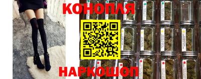 мет Новозыбков