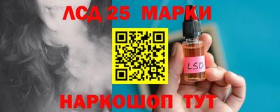 гашик Новокубанск