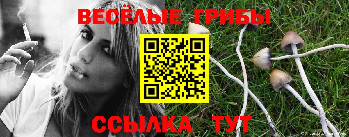 наркота  Вход с VPN  Родники  Галлюциногенные грибы ЛСД 
